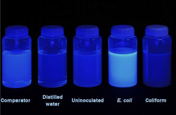 EC Blue comparator fluo