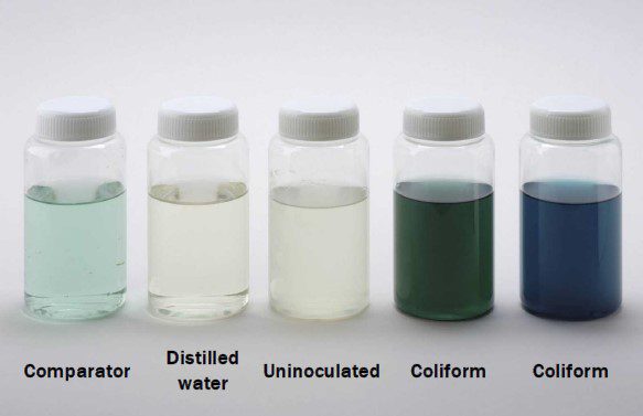 EC Blue comparator normal